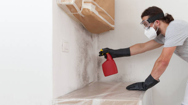 Professional Basement Mold Remediation technician working in Blairs Mills, PA